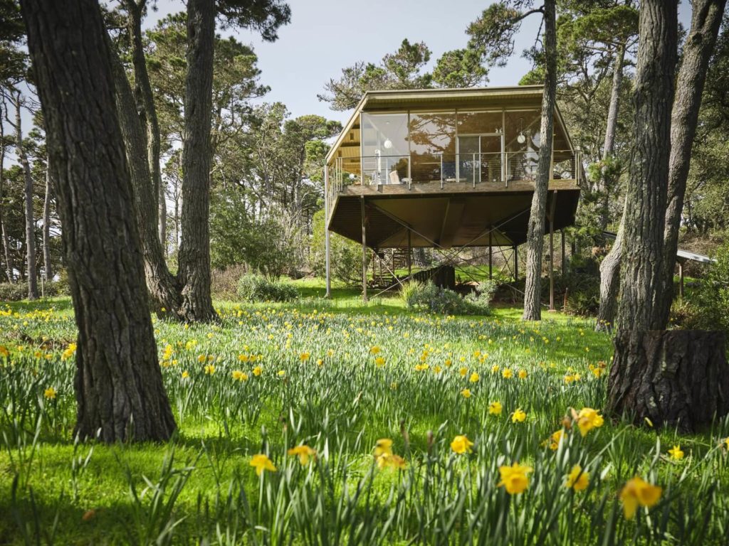 glass house in the woods surrounded by trees