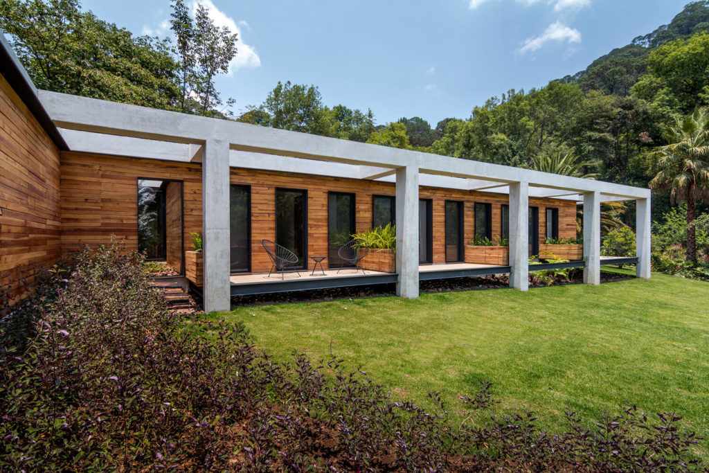 SP Residence with a wooden wall and a green lawn
