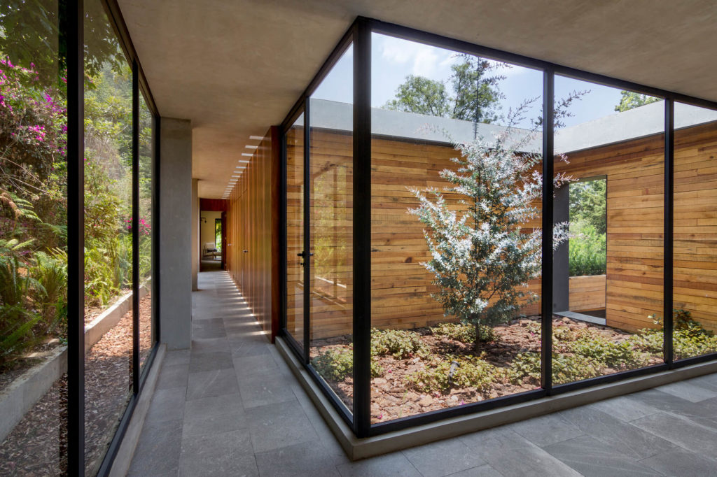 The SP Residence house with glass walls and a small tree
