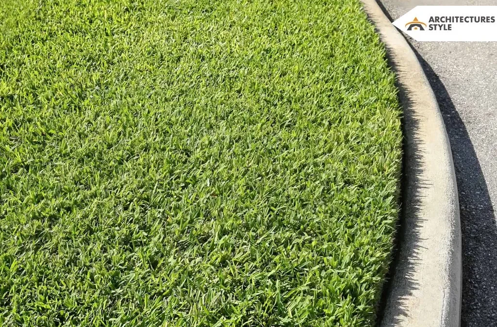 4 Types Of Grass For Louisiana And Their Proper Care