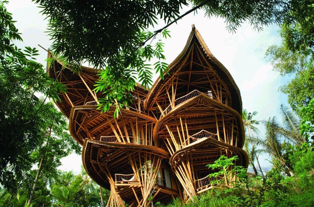 Cozy house made of bamboo and straw  Cozy house House made Bamboo drawing