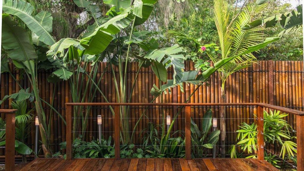 Adorn Bamboo in Garden Amidst Nature