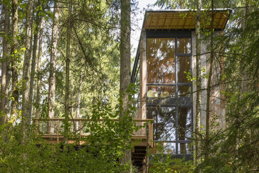 Little House Big Shed surrounded by trees