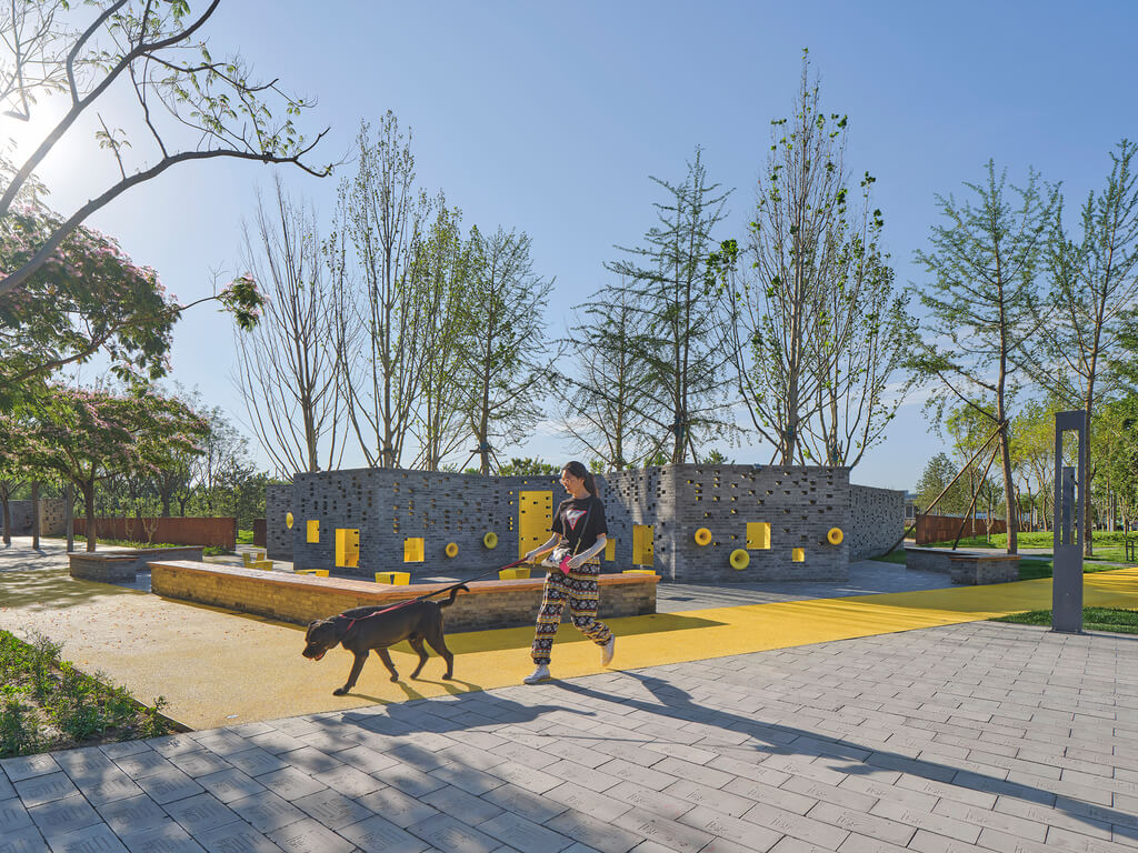 A woman walking a dog in a songzhuang micro community park by crossboundaries