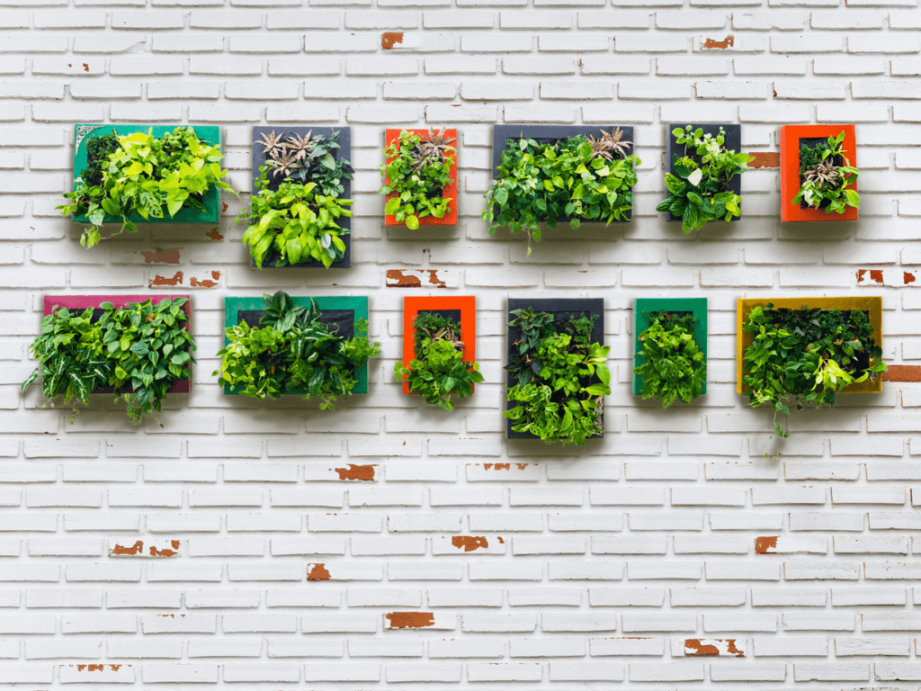 Vertical Garden ideas for Backyard Makeover