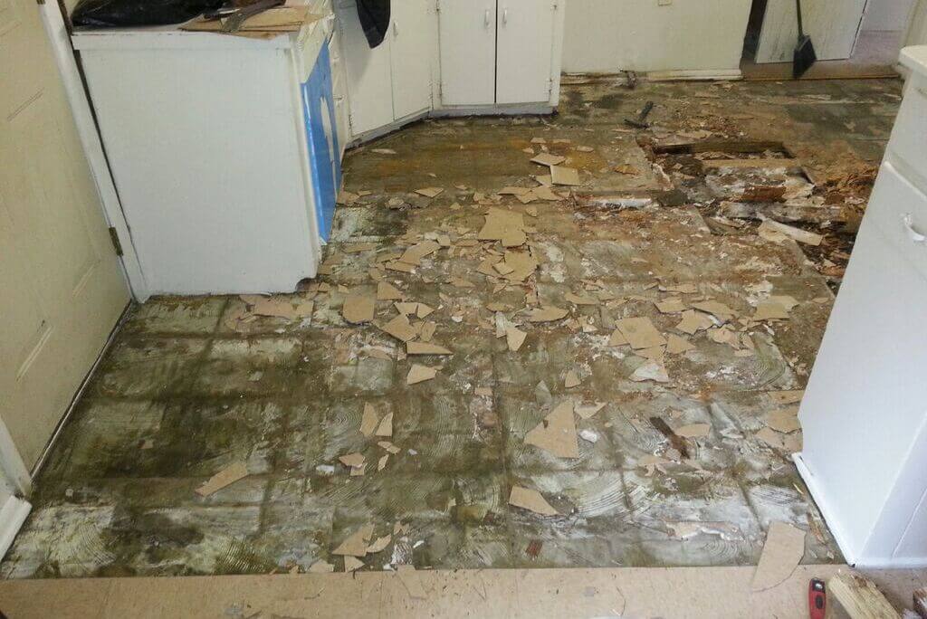 Rotted Floors