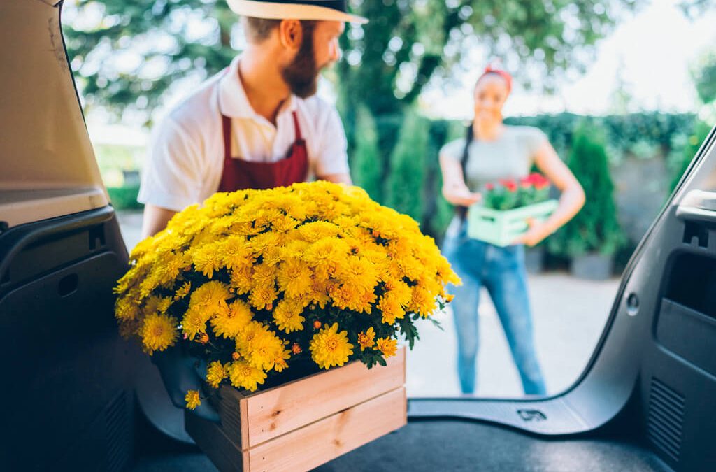 The Best Plant Delivery Service to Consider