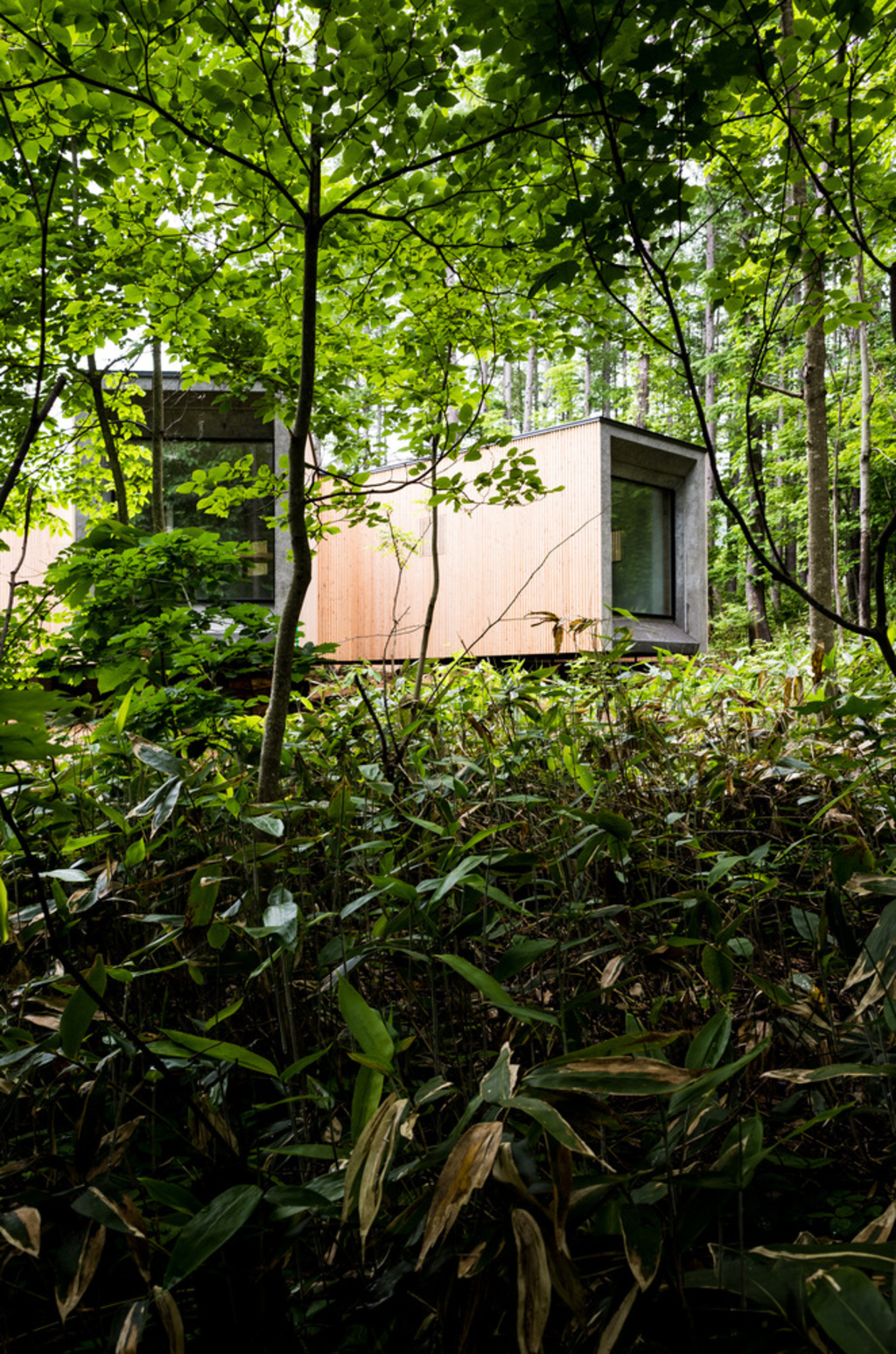 House in the Forest by Florian Busch Architects