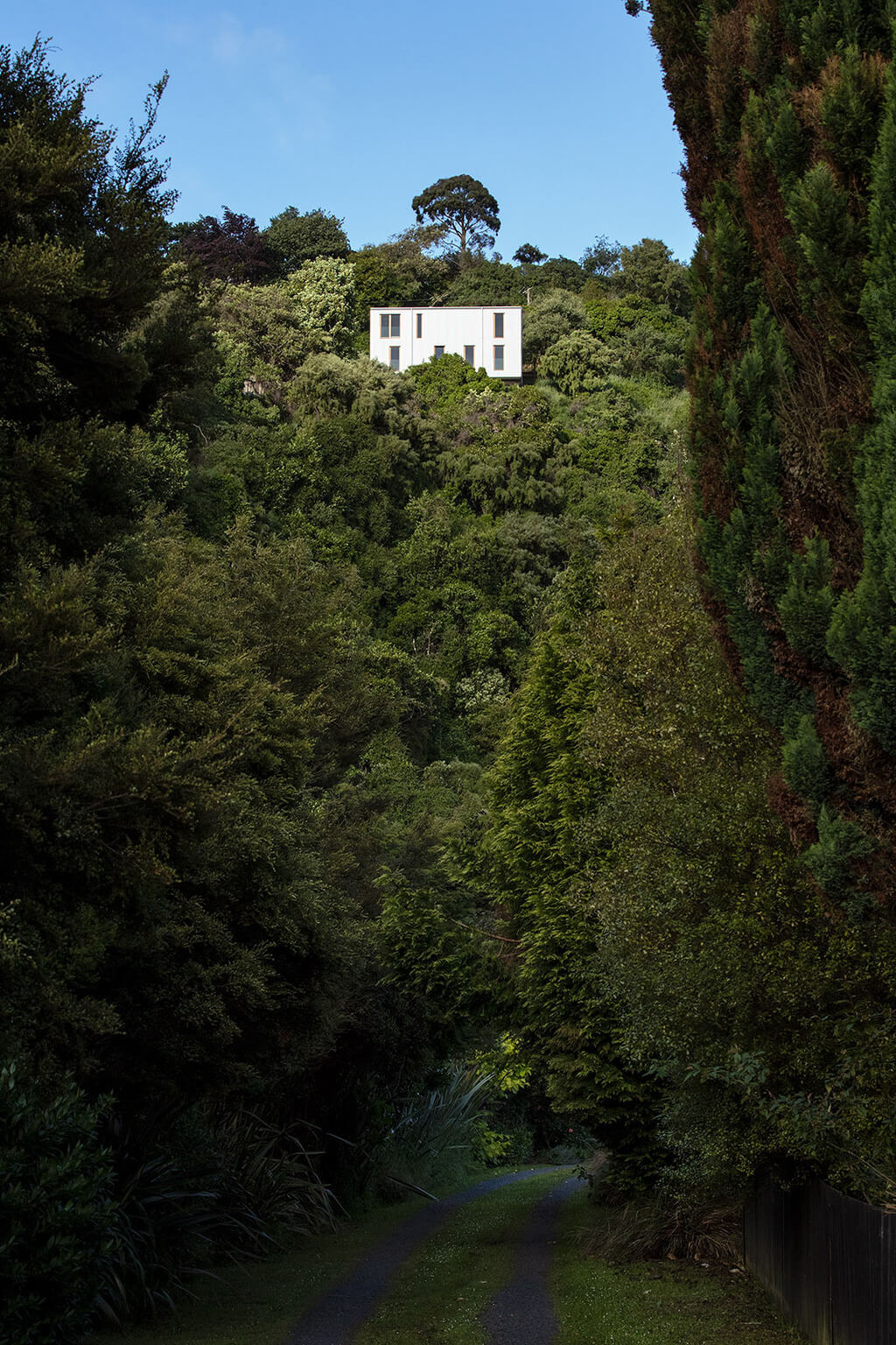 Kowhai House by Rafe Maclean Architects outside