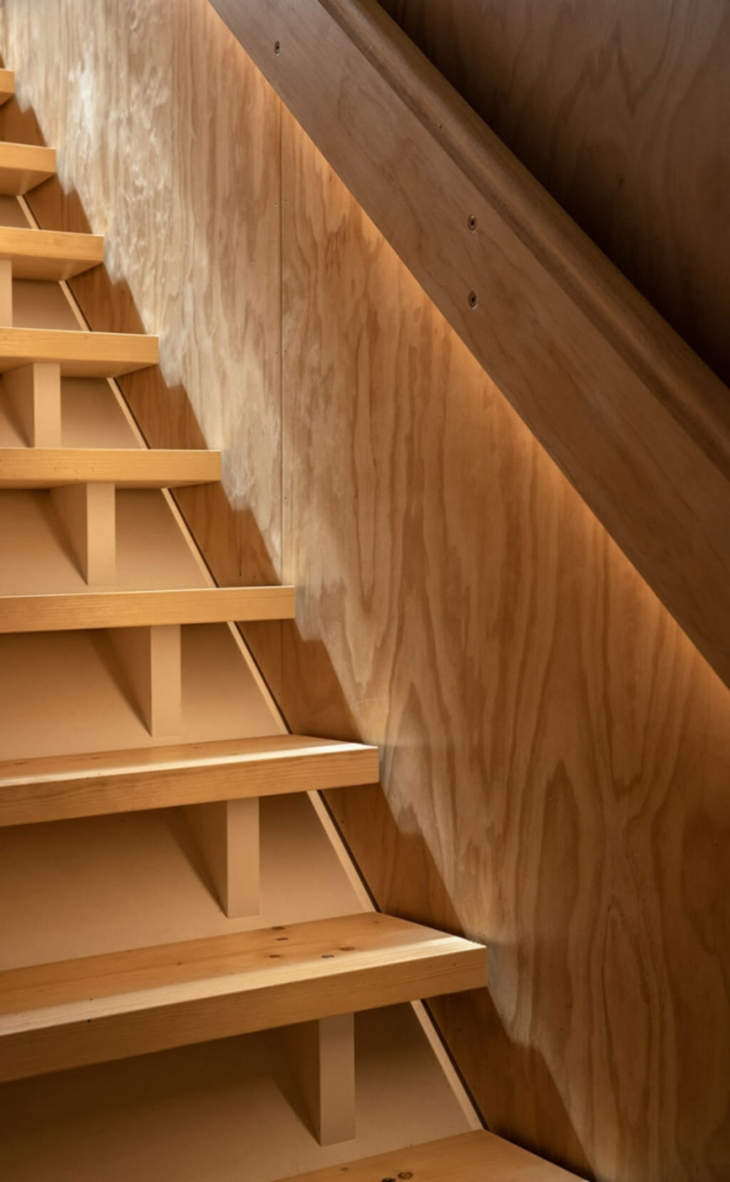 Kowhai House by Rafe Maclean Architects stair
