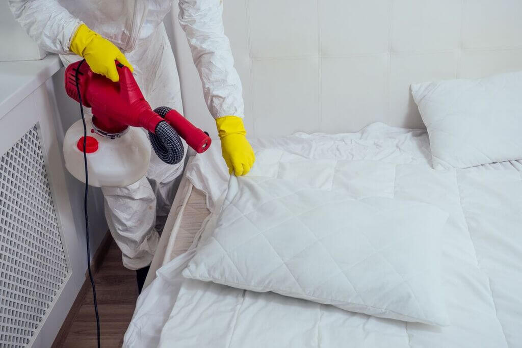 Prevention of Bed Bugs