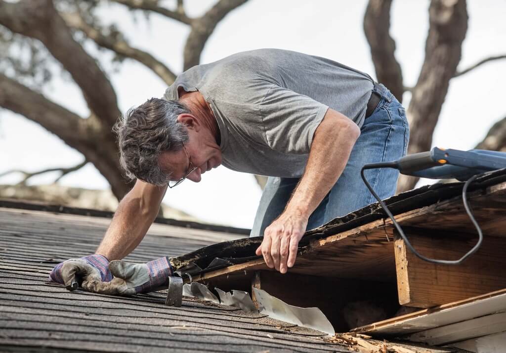 Regularly Check Roof