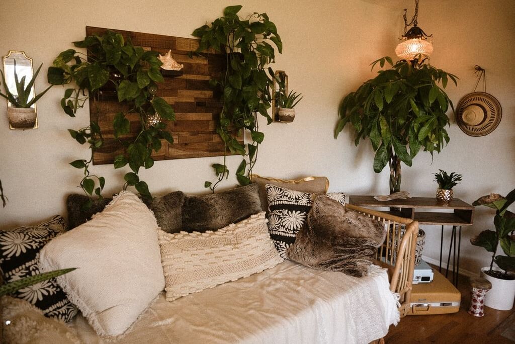 Hanging Plants on the Walls