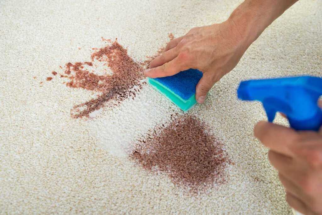 Cleaning Berber Carpet Tips