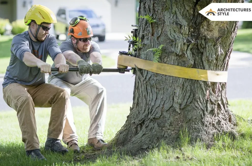 Tree Care Industry: Advantages of Tree Trimming in Louisiana