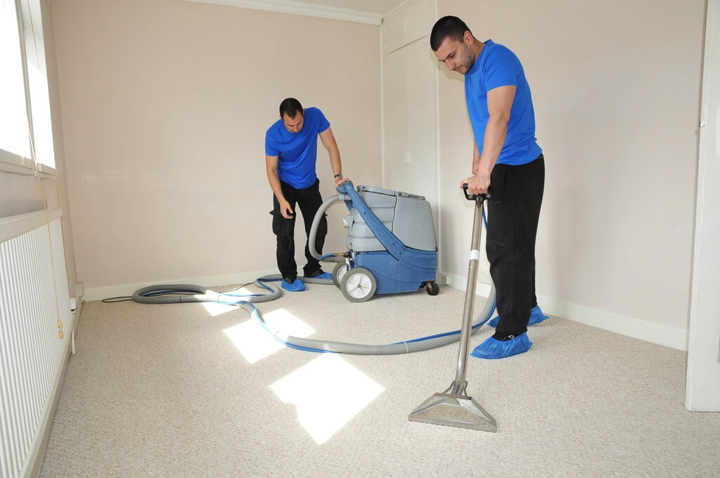 Expertise In Carpet Cleaning