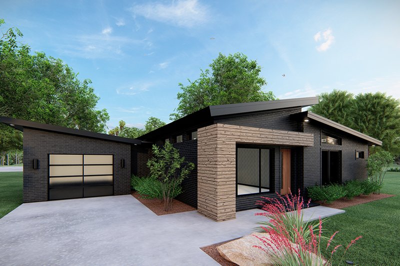 Luxurious Black Modern House design with a garage