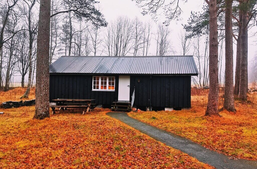 6 Reasons Why Building a Shed Home Is a Smart Idea