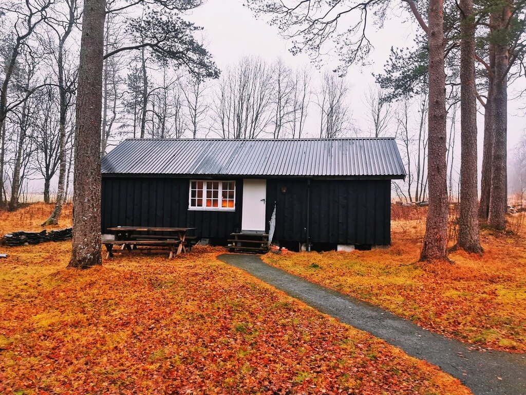 Shed Homes Are Trendy