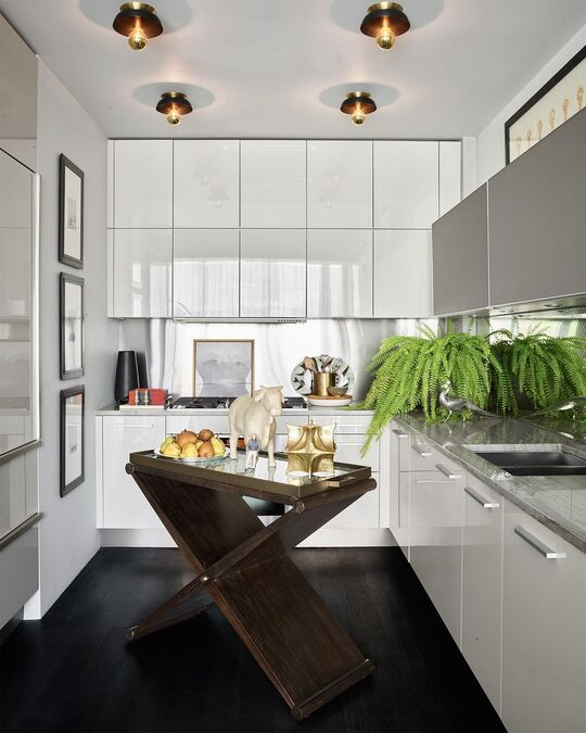 contemporary white kitchen cabinet