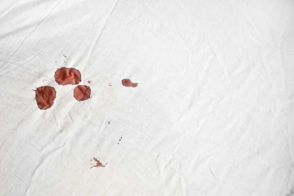 Bed Bug Blood Stains