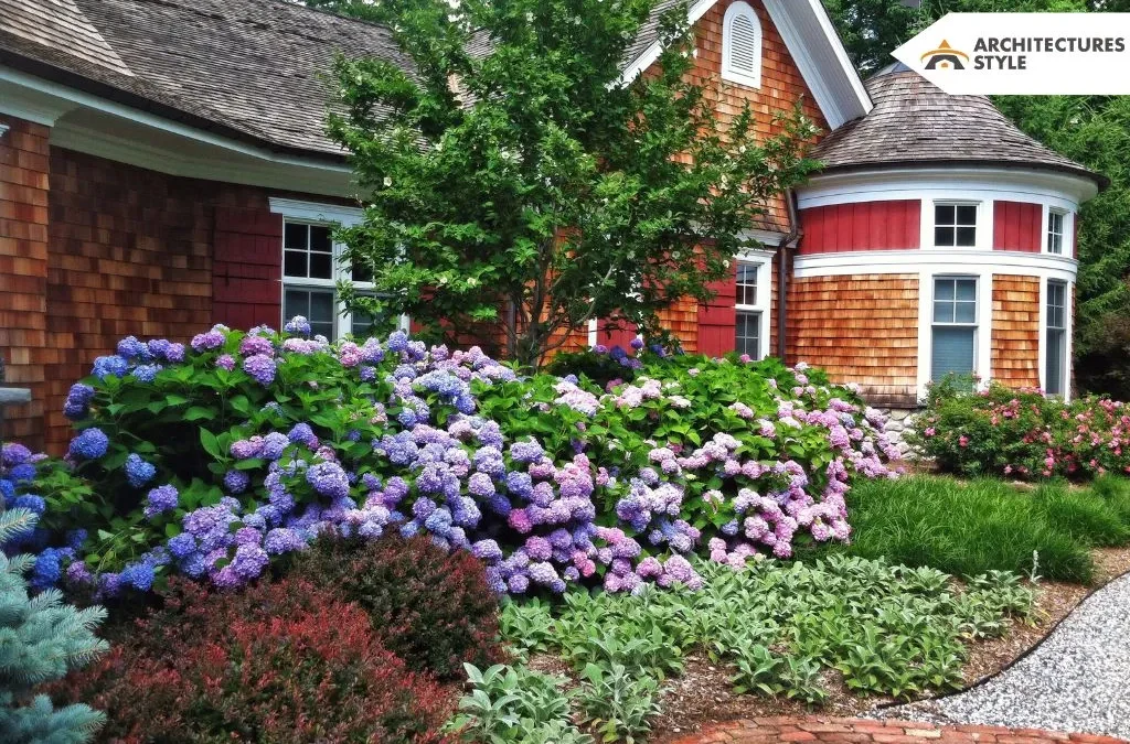 Best Shrubs For Front of House to Boost Your Curb Appeal