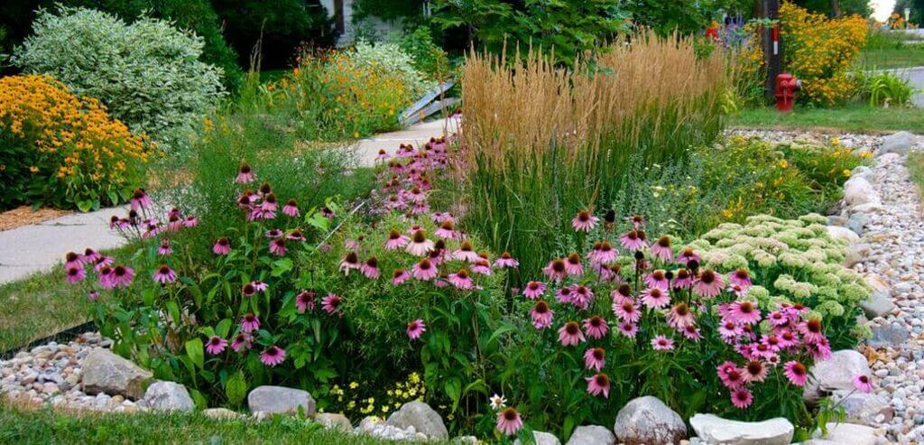 Rain Harvesting Landscaping ideas