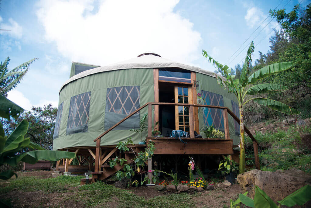 A yurt in the middle of a jungle setting
