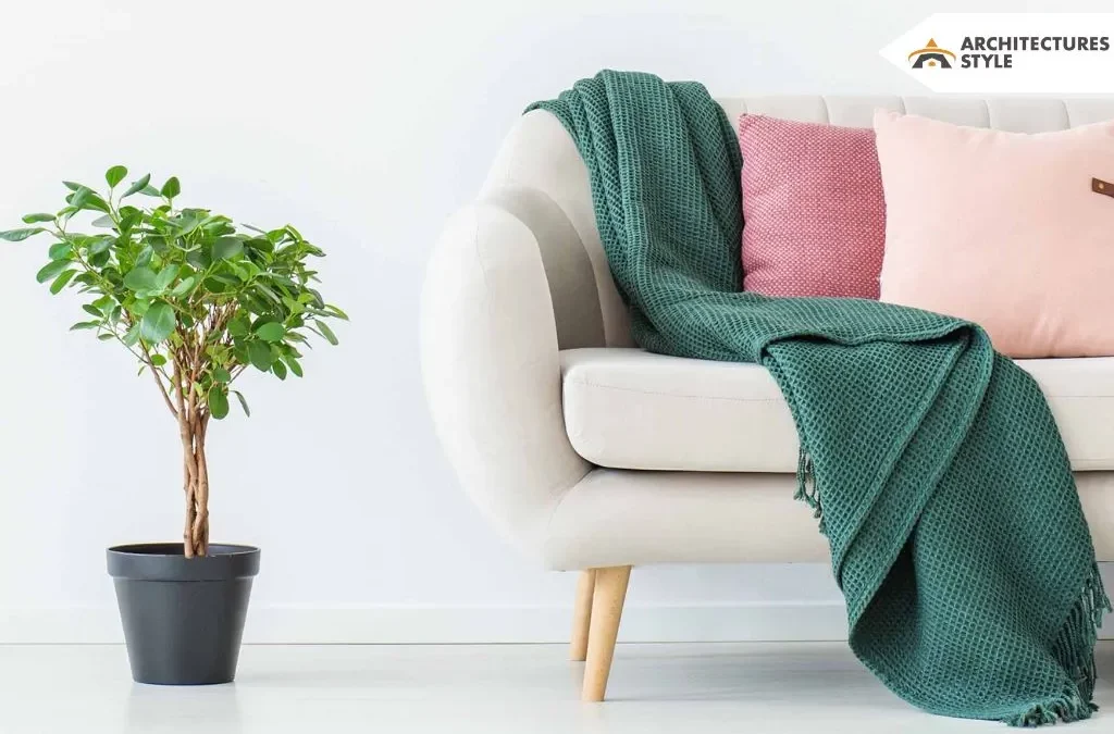 6 Ways to Bring Your Sofa Back to Life: Best Tips to Know