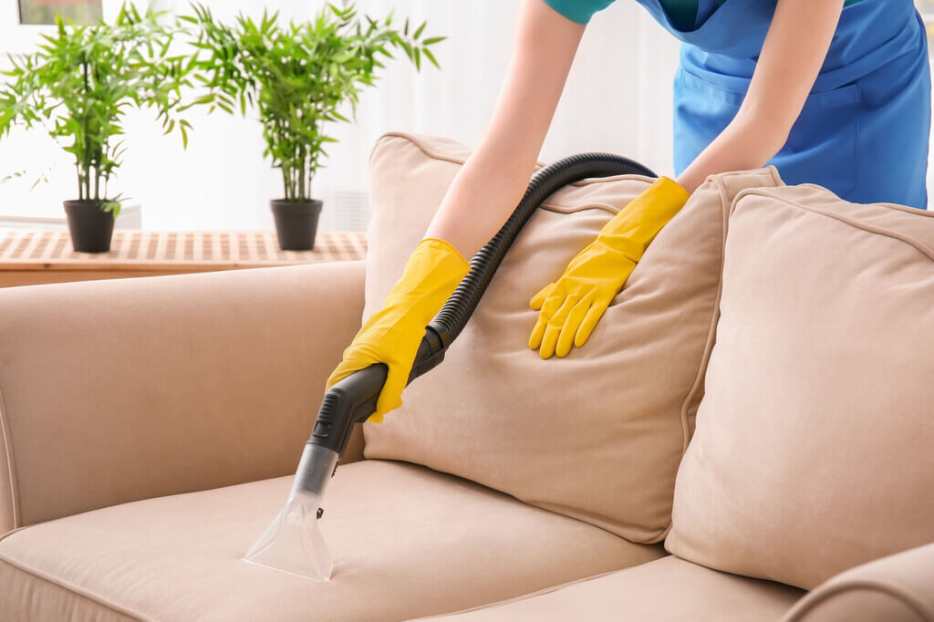 Remove Unwanted Odor from sofa