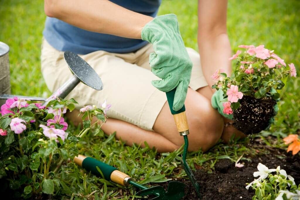 How Gardening Can Benefit You