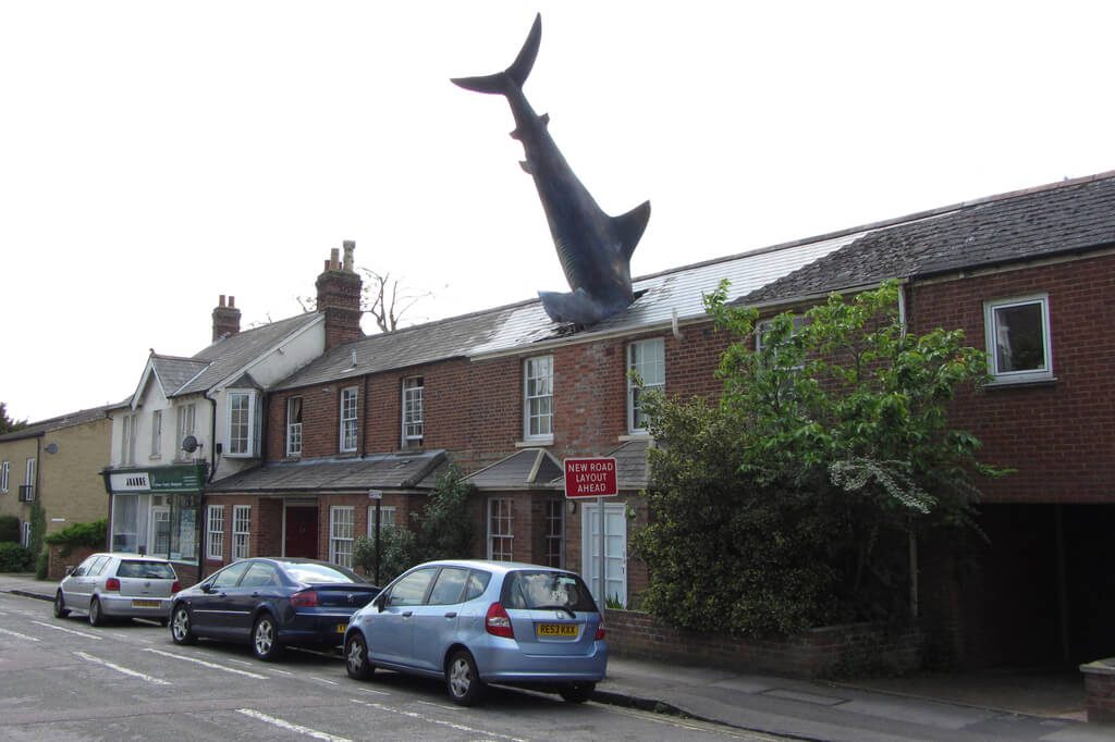 Shark Attack Home – Headington, Oxford