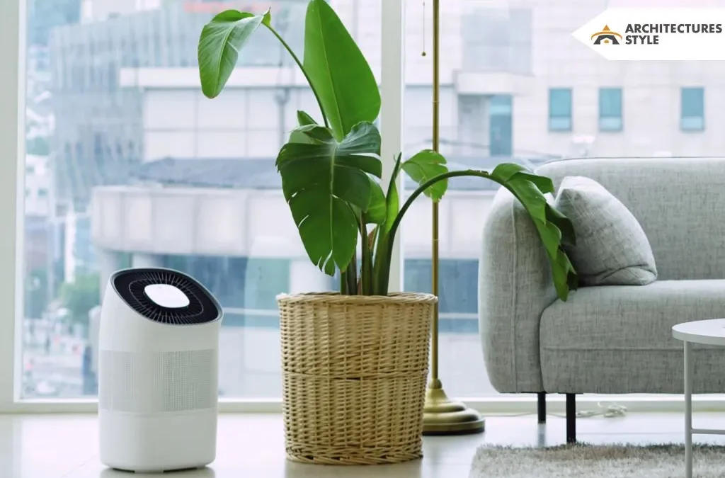 Air Purifier for Apartment: What You Need to Know