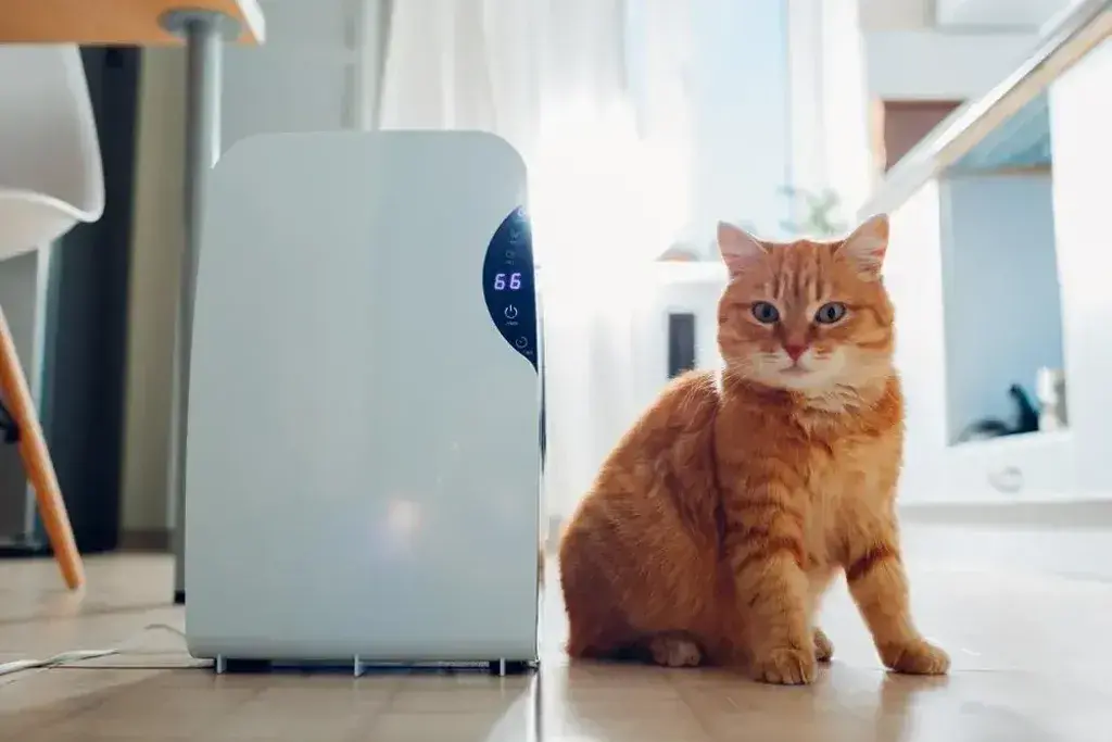 A cat sitting on the floor next to Air Purifier 
