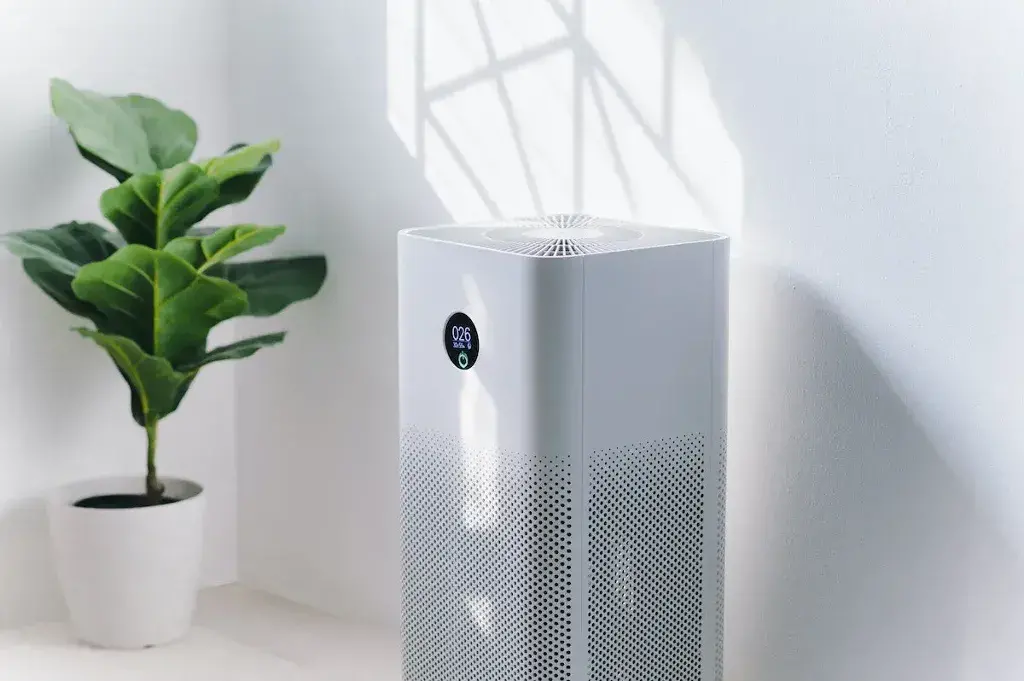 Determine the Perfect Air Purifier and Filter for Your Apartment to Enjoy Maximum Results