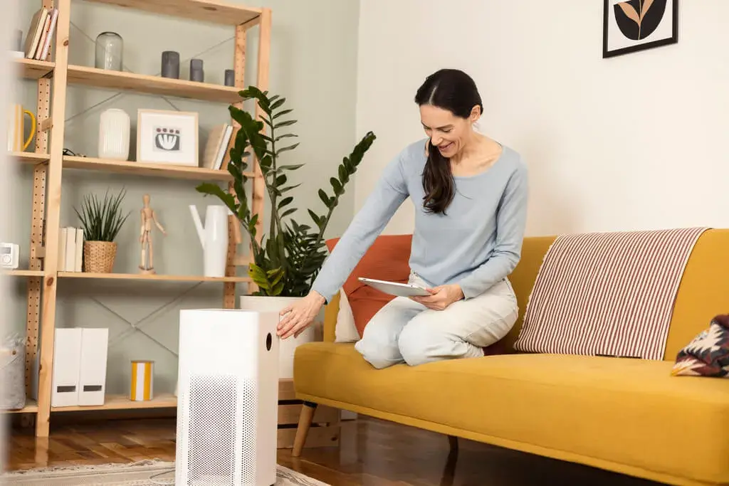 What Drawbacks Can Air Purifiers Possess?