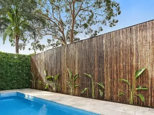 Inexpensive Privacy Fence Ideas Using Bamboo