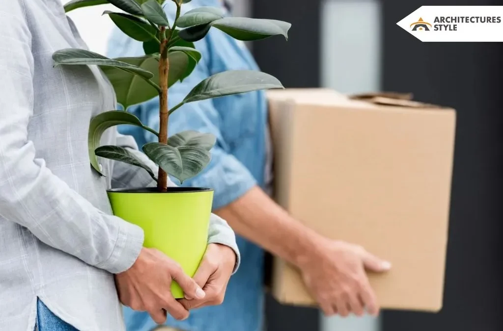 The Best Plant Delivery Service to Consider