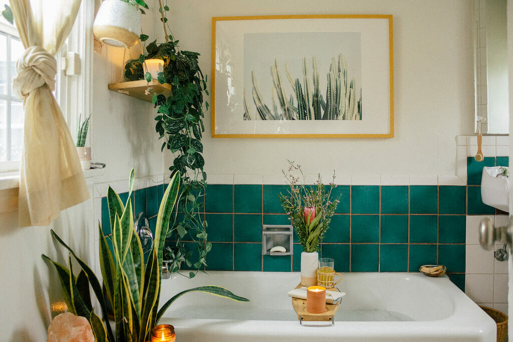 Plants in Bathroom