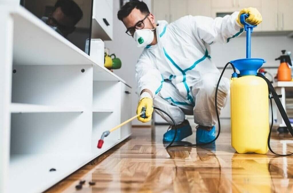 Understanding Why Pests Invade Your Home