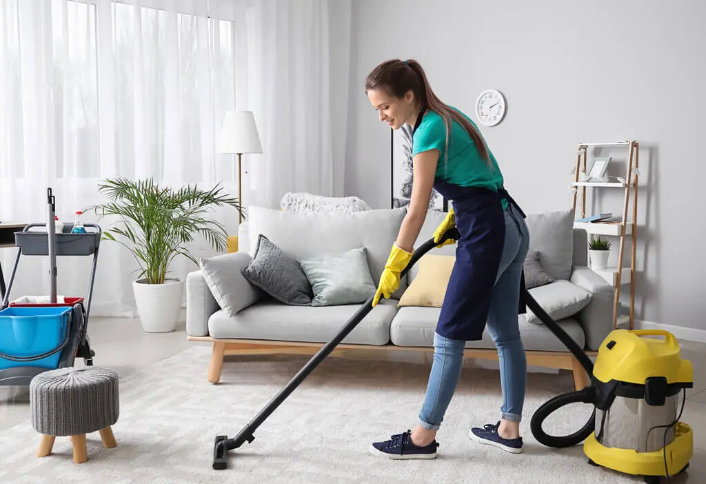 Regular Cleaning Of Home