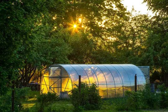 Choose a Location greenhouse