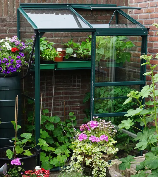 Cold frame Greenhouse