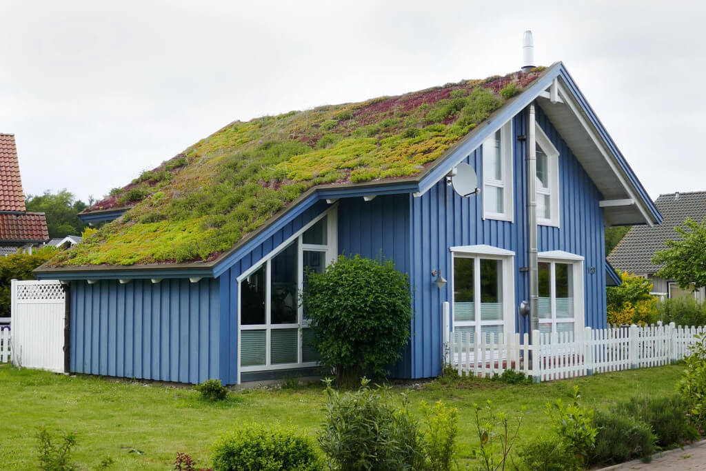  Green Roofing