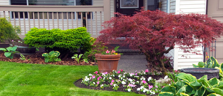 Few Focal Points landscaping