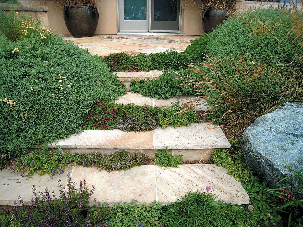 Hardscape landscaping