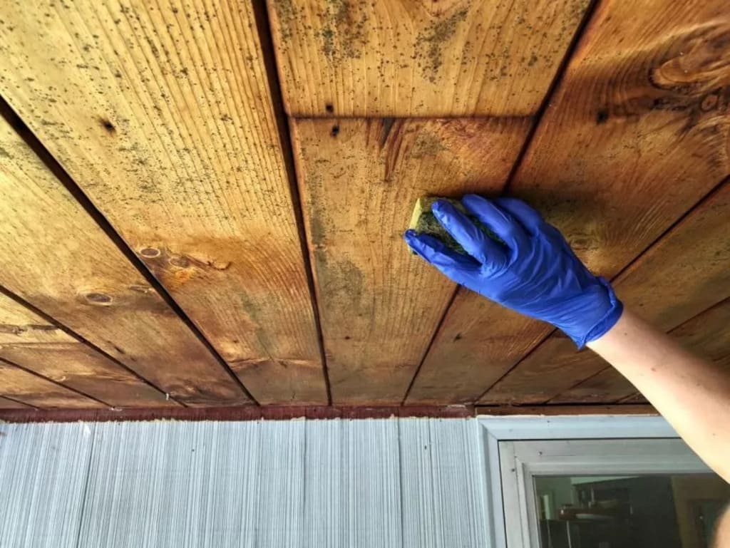 How-to-Prevent-Mold-Growth-on-Wood