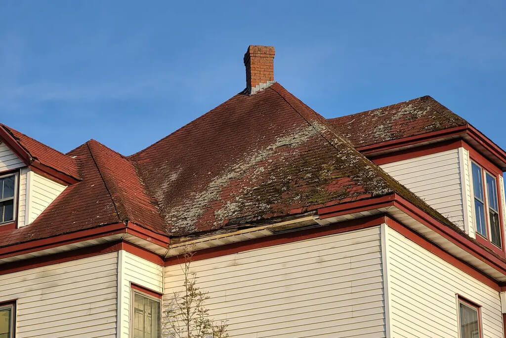 Mold growth in roof