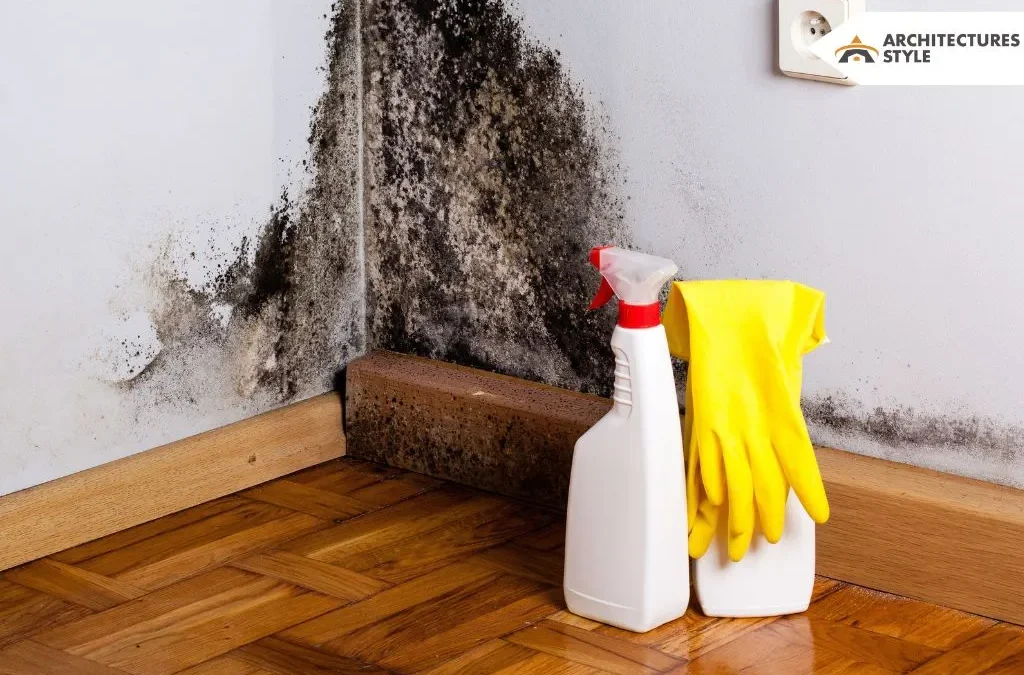 How to Remove Mold from Wood – DIY Methods, Prevention Tips