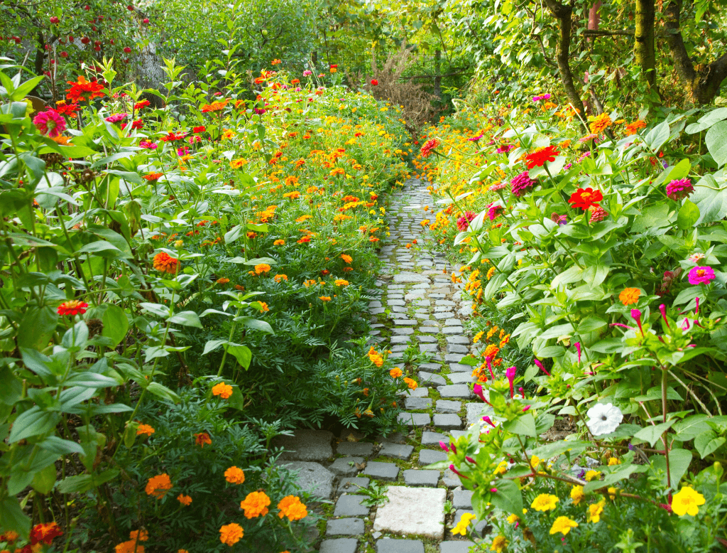 Planting Flower Beds